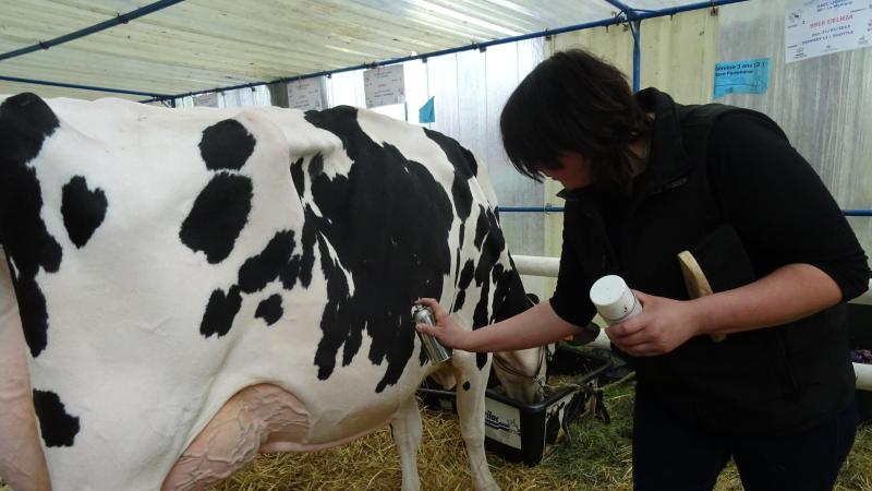 La foire agricole de Montdidier, c’était vachement bien! [PHOTOS et VIDEOS]